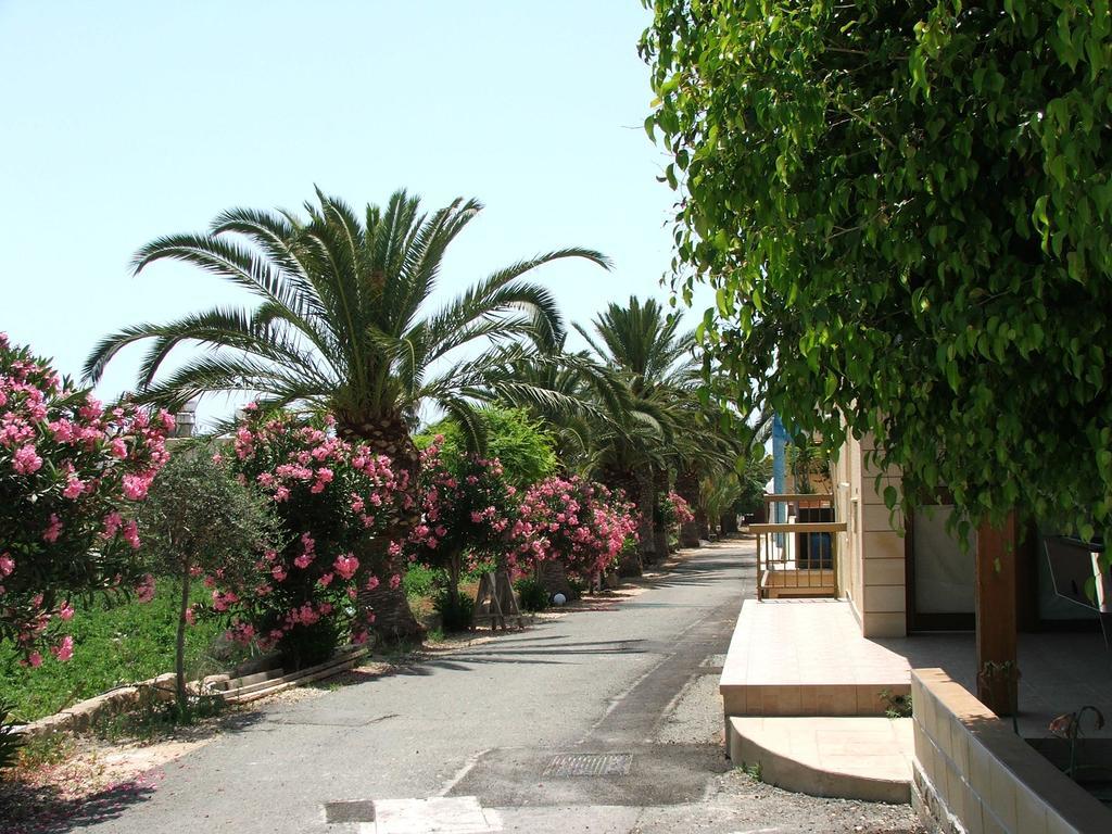 Dimma Seaside Houses Paphos Eksteriør bilde