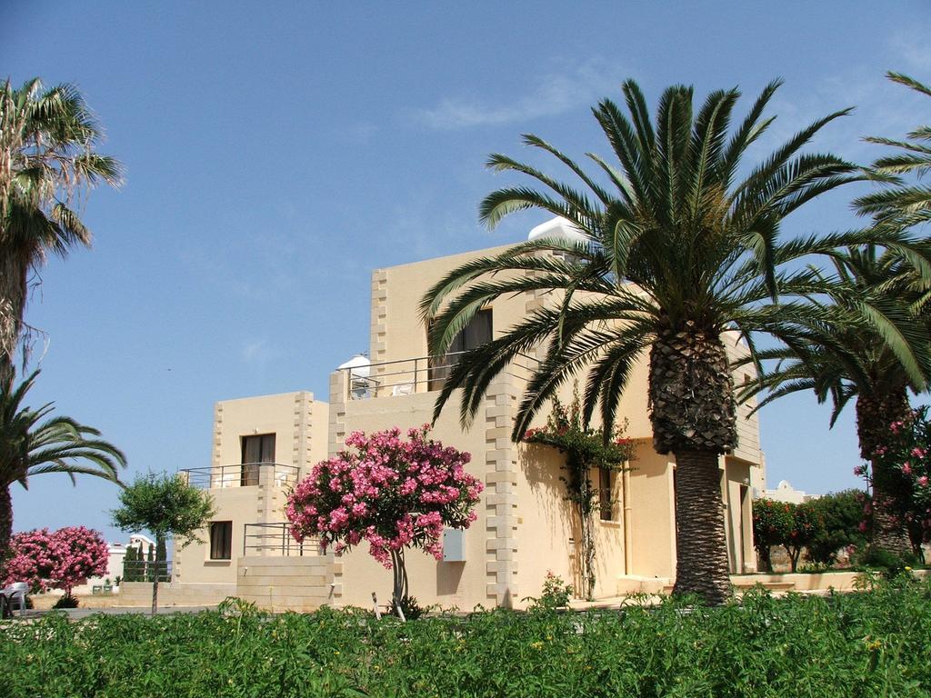 Dimma Seaside Houses Paphos Eksteriør bilde