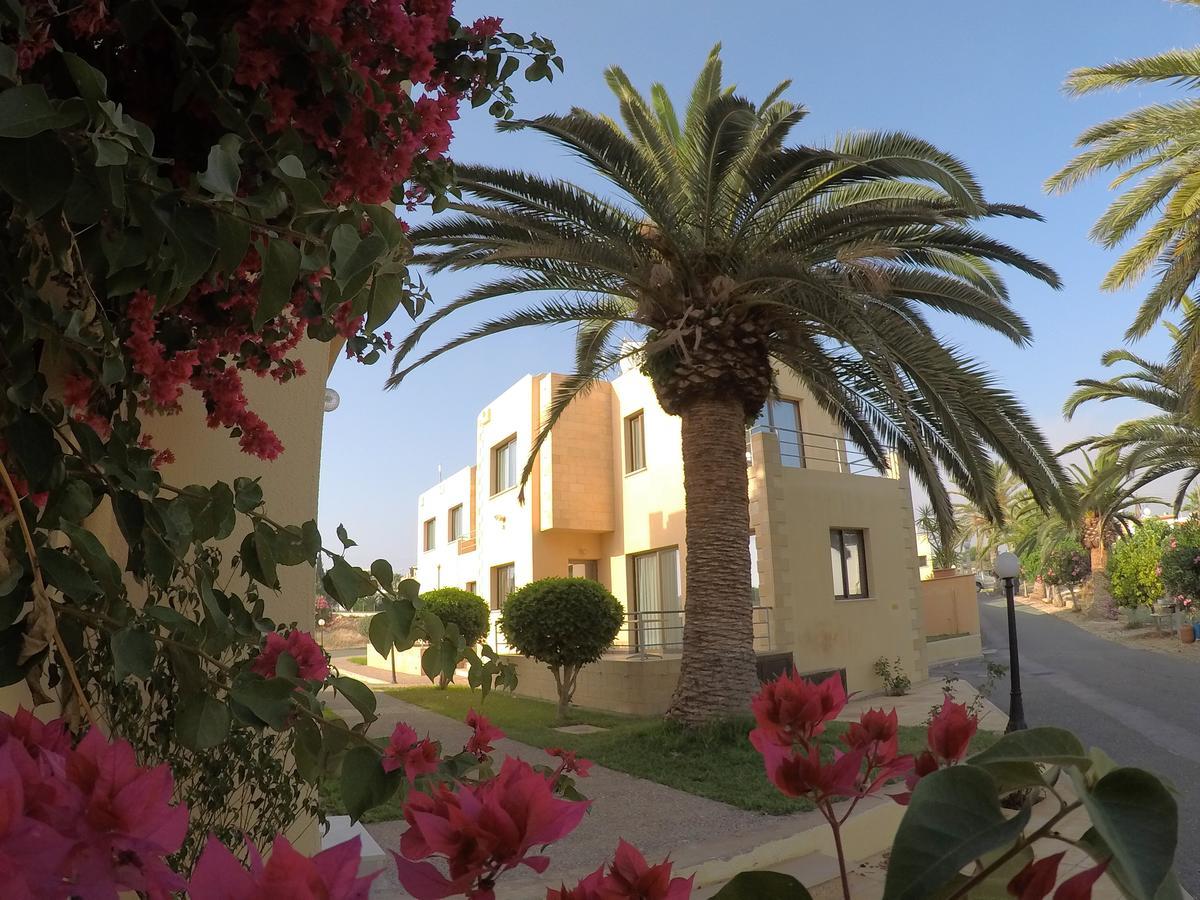 Dimma Seaside Houses Paphos Eksteriør bilde